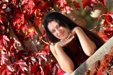 Autumn Mood Royalty Free Stock Photo Autumn Mood Royalty Free Stock Photo