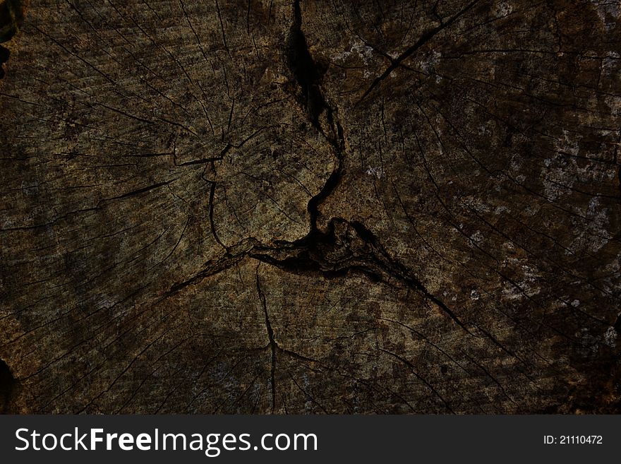 Old tree stump surface, background. Old tree stump surface, background