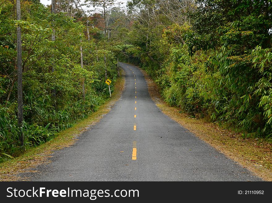 Road at the Khao yai national park in Thailand. Road at the Khao yai national park in Thailand