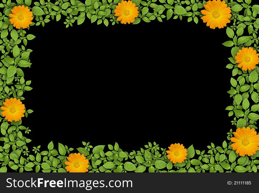 Green plant frame with yellow flowers. Green plant frame with yellow flowers.