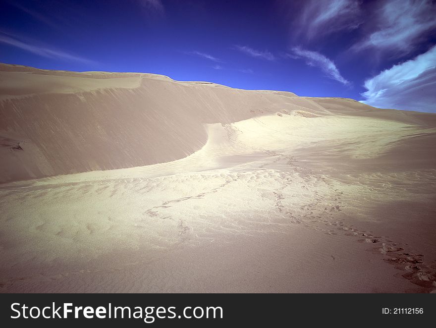 Footprints in sand dunes - Great Sand Dunes NP