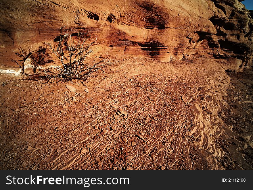 Heat - drought tree and dry rocks