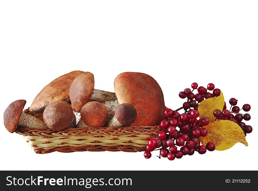 Mushrooms and berries in a wattled basket on the white isolated background