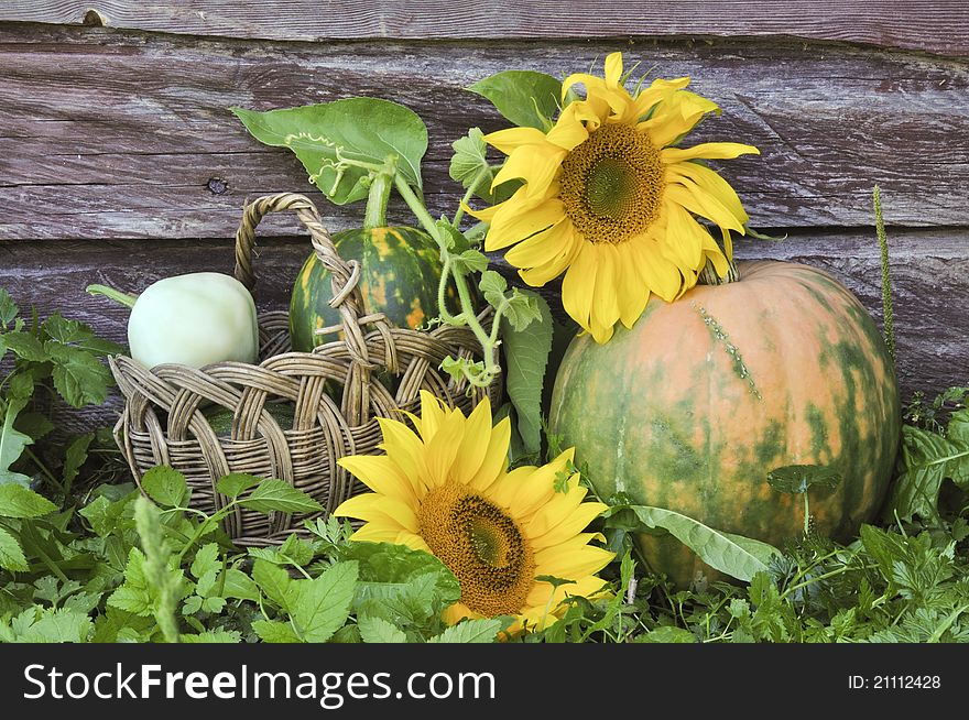 Pumpkin and sunflowers against an old wooden wall