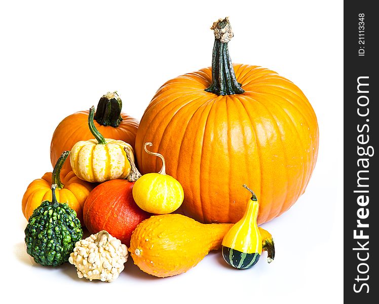 Ripe pumpkin fruits isolated