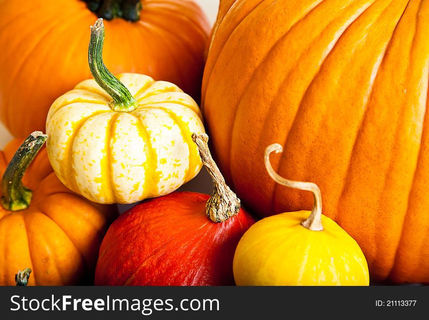 Ripe pumpkin fruits isolated