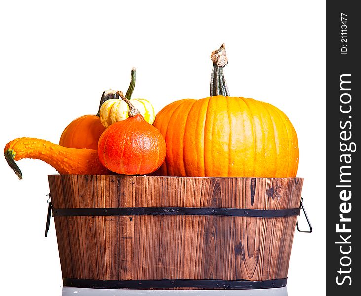 Ripe Pumpkin Fruits Isolated