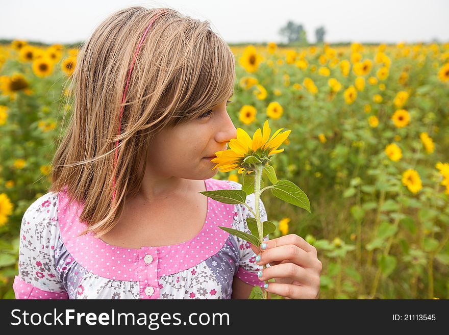 A girl in pink blouse, smelling sunflower, on field of sunflowers