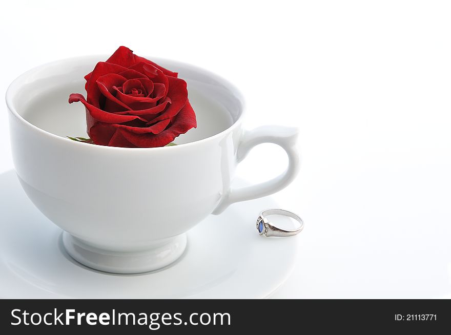 Concepts: Marry me?, proposal, gift on Valentine's Day, wedding, love, surprice. Red rose in the white cup and ring. Concepts: Marry me?, proposal, gift on Valentine's Day, wedding, love, surprice. Red rose in the white cup and ring.