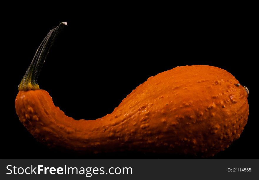 Ripe pumpkin fruits isolated on black