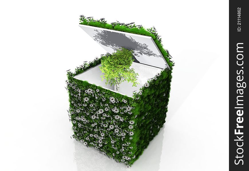 Cube With Grass And Tree