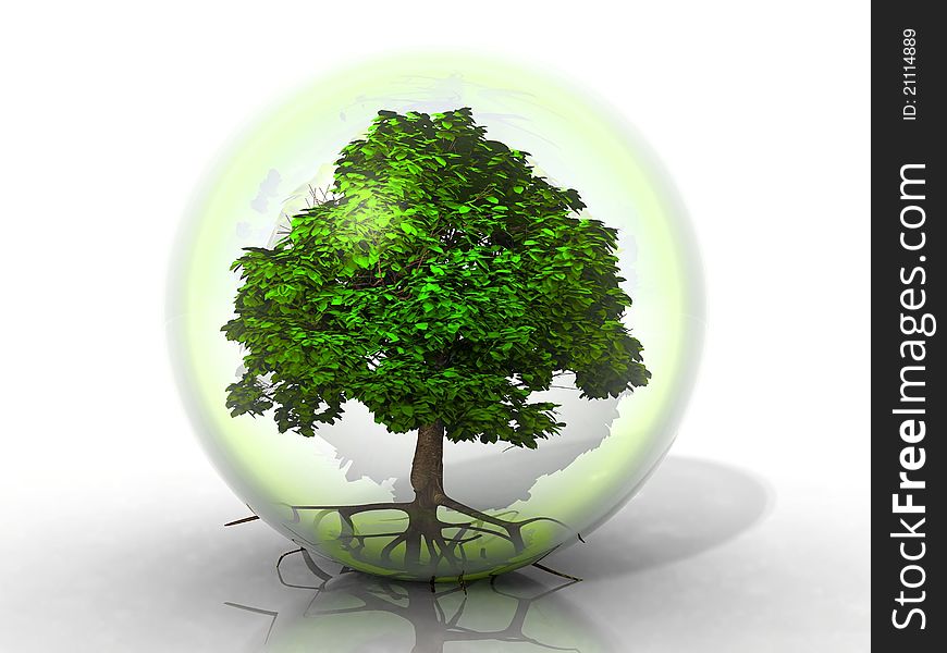 A green tree in a transparent bubble. A green tree in a transparent bubble