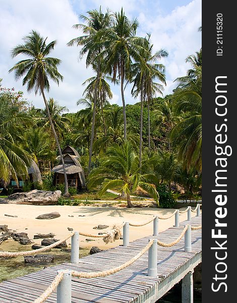 Sea and pier from palm trees