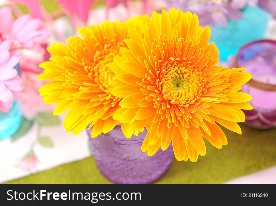 Flowers In Pot