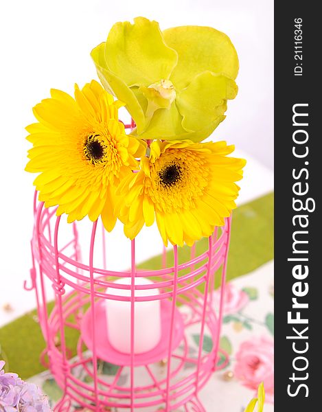 Decoration of colorful flower in cage