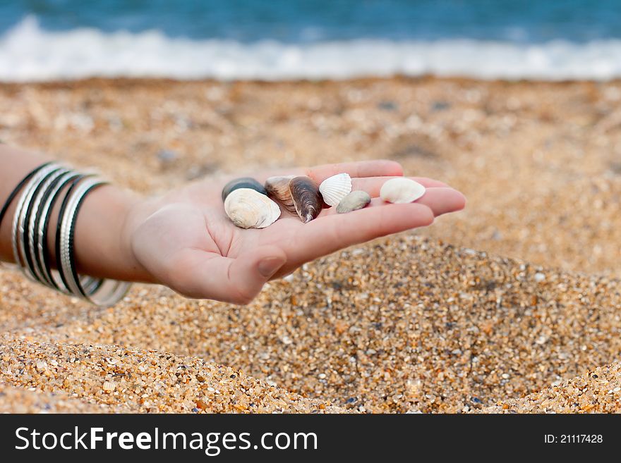 Seashells on the hand against the sea