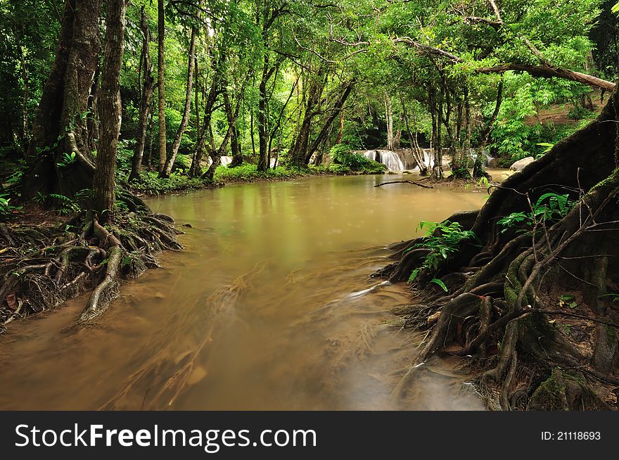 The flowing of water in forest. The flowing of water in forest