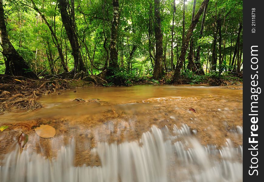 The flowing of water in forest. The flowing of water in forest