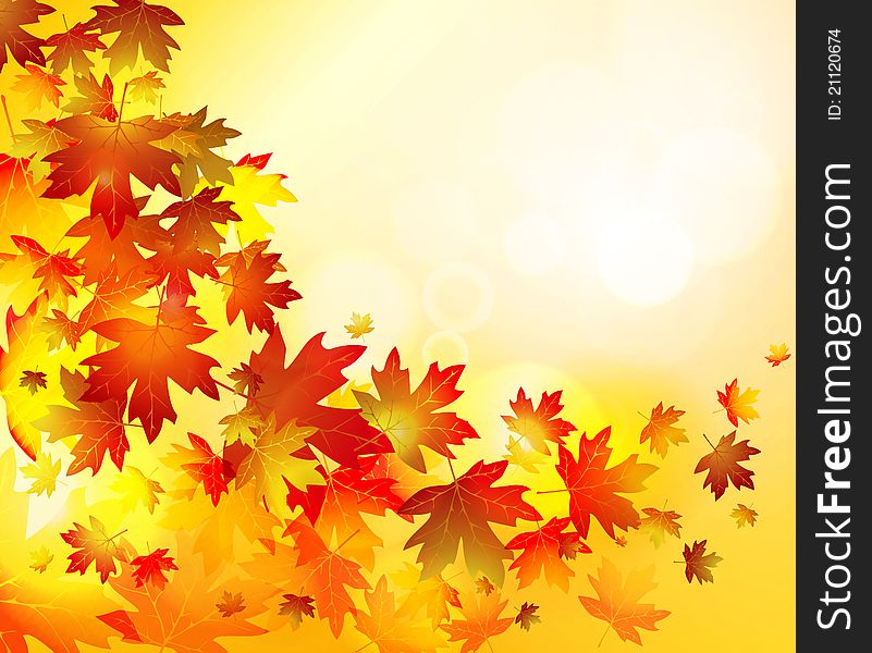 Autumn floral background for your design. Autumn floral background for your design