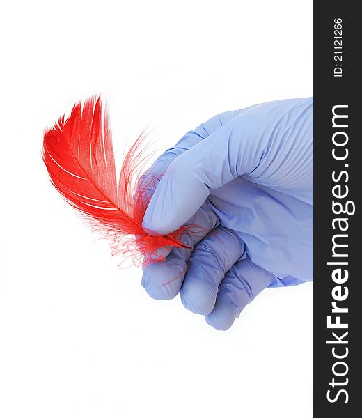Blue medical glove with red feathers. Blue medical glove with red feathers