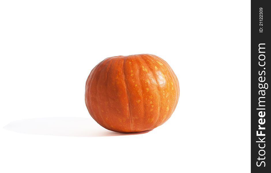 The single orange pumpking on the white background. The single orange pumpking on the white background