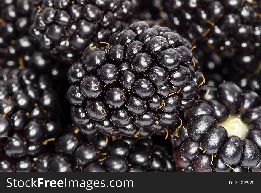 Sweet blackberry berry closeup background