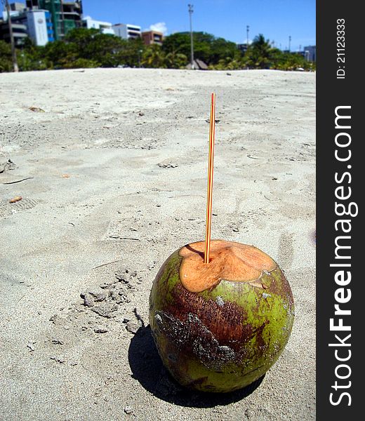 Lonely Coconut.