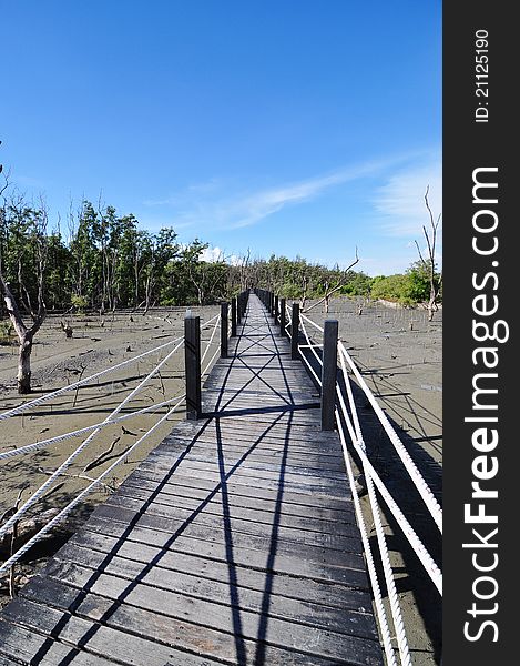 The wood bridge at Mangrove forest