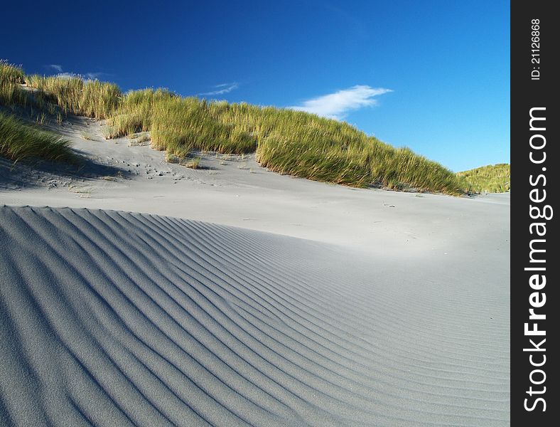 Grass and sand dunes, Farewell Spit, South island, New Zealand