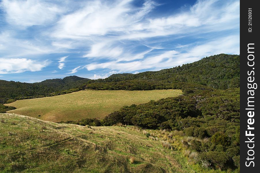 Farmland around Puponga, Farewell spit, South island, New Zealand