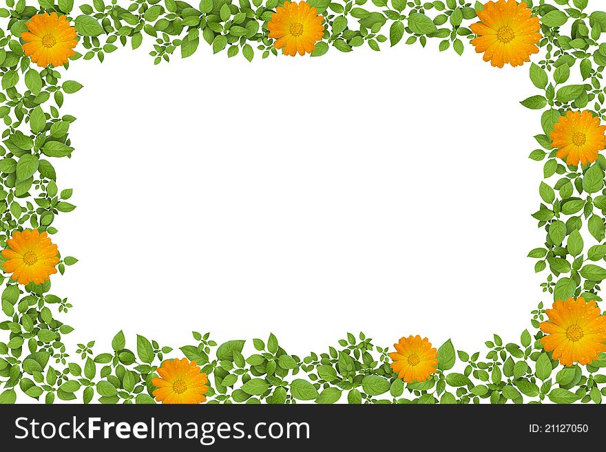 Green plant frame with yellow flowers.