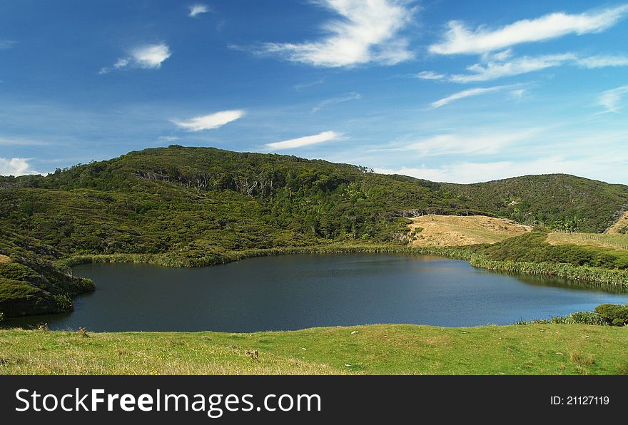 Nikau Lake