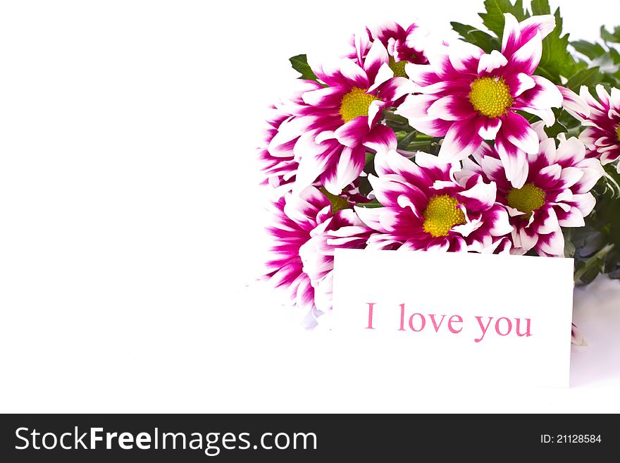 Beautiful bouquet of red chrysanthemums on a white background