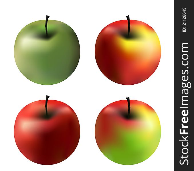 4 vector apples with different colors isolated on white. 4 vector apples with different colors isolated on white