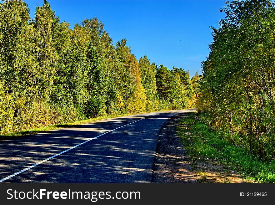 The road through autumn woods, turn right. The beginning of autumn, sunny day, asphalt, curb. The road through autumn woods, turn right. The beginning of autumn, sunny day, asphalt, curb.