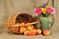 The Autumn Flowers And Red Apples Stock Image The Autumn Flowers And Red Apples Stock Image