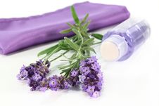Lavender Stock Image