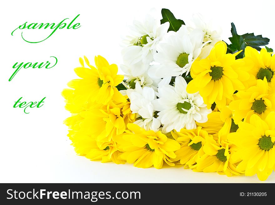 Beautiful bouquet of yellow chrysanthemums on a white background