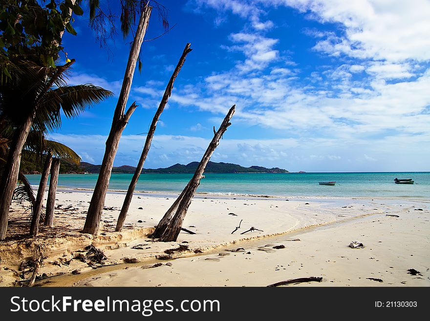 View Of White Sandy  Beach In Praslin