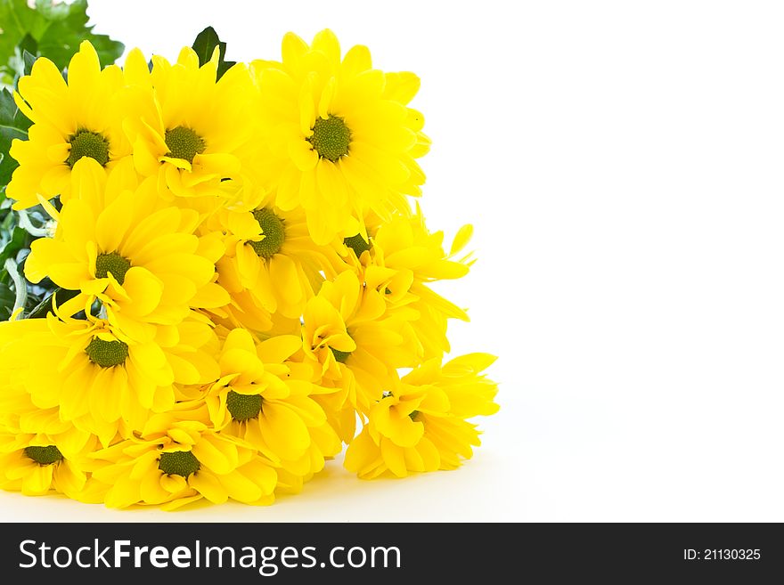 Beautiful bouquet of yellow chrysanthemums on a white background