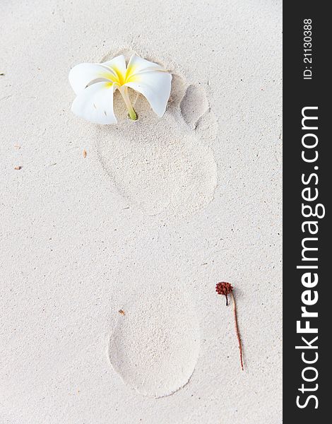 Footprint with frangipani flower on a white sand
