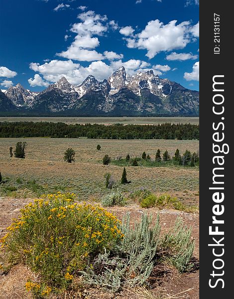 A spectacular view of the Teton. A spectacular view of the Teton