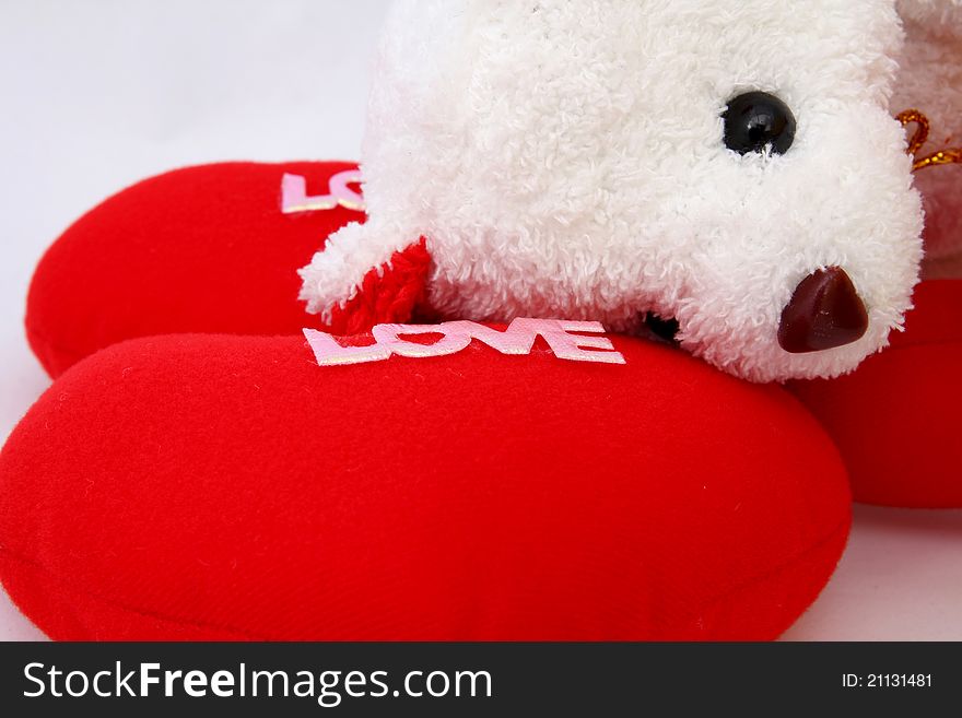 White teddy bear for love with you. White teddy bear for love with you.
