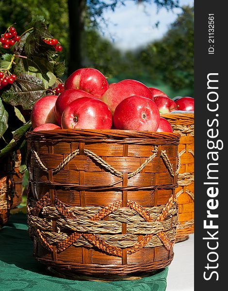 Basket of fresh red apples outdoor on the table on holiday of harvest. Basket of fresh red apples outdoor on the table on holiday of harvest