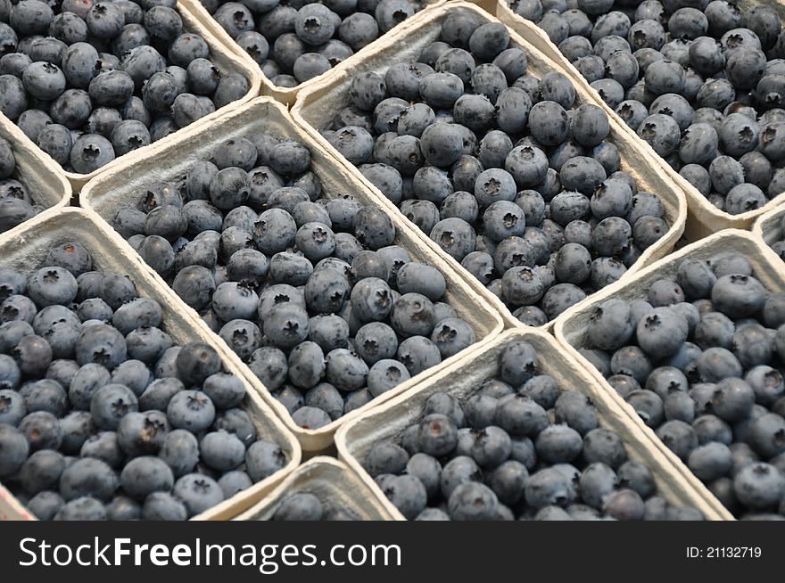 Blueberries in boxes for sale