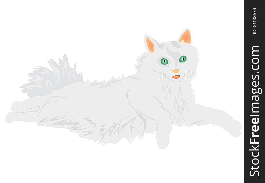 Illustration of the cat on white background