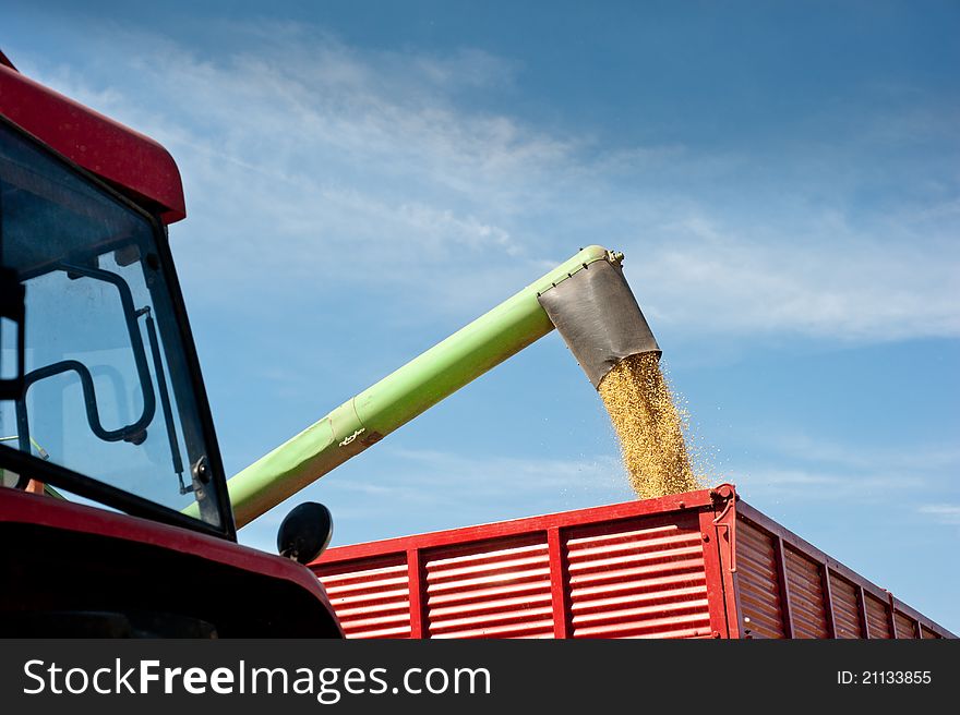 Pouring soy bean into tractor trailer. Pouring soy bean into tractor trailer