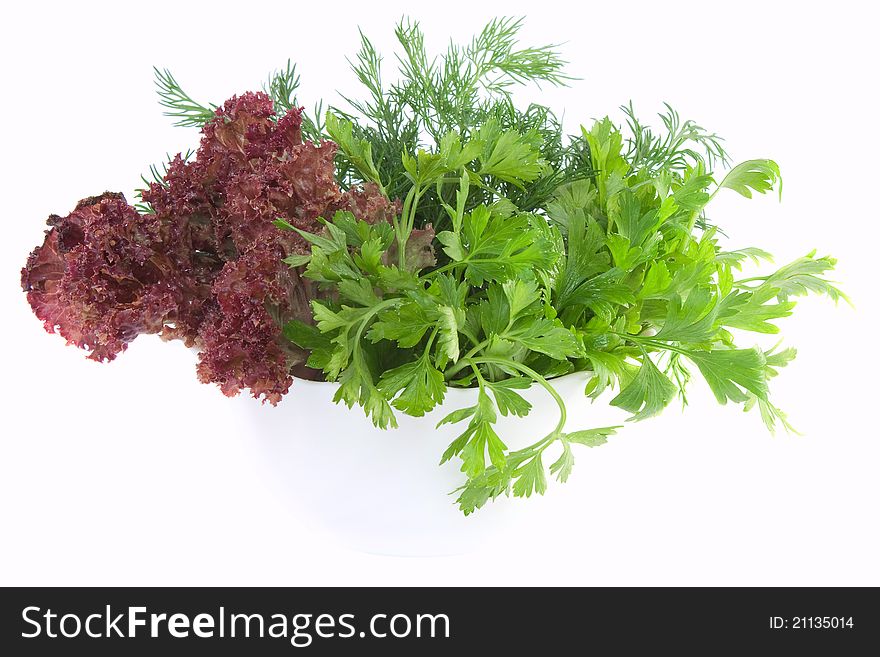 Fresh Parsley, Dill And Lettuce In Bowl On White