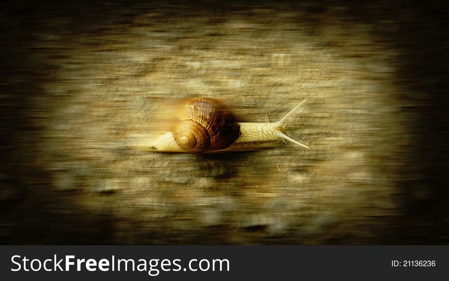 A snail which runs like speed of sound. A snail which runs like speed of sound