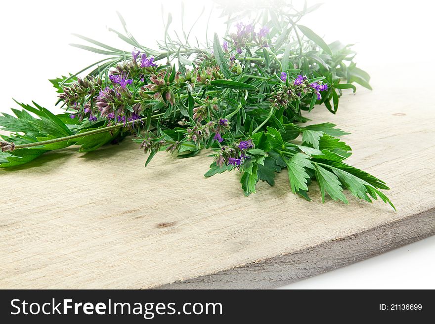 Oregano, parsley, chervil, resemary, thym on white background. Oregano, parsley, chervil, resemary, thym on white background